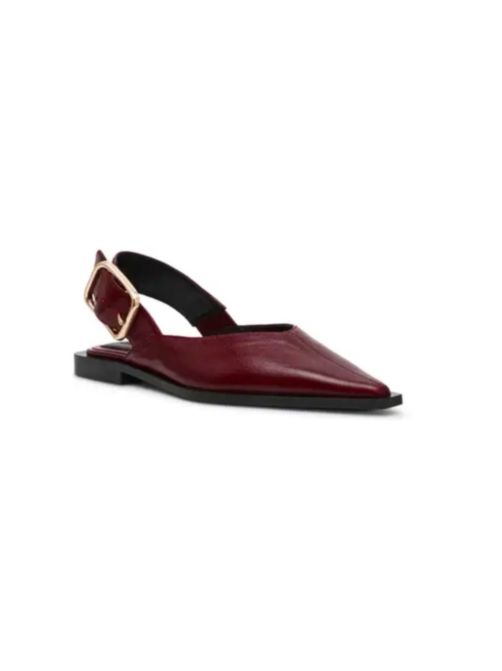 Steve Madden Burgundy Pointed Slingback Flat with Gold Buckle ~ Size 9
